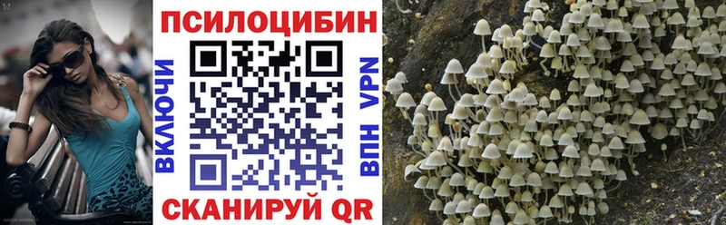 Галлюциногенные грибы ЛСД  Купить где  Сретенск 